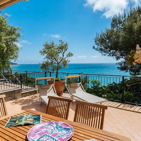Aurelia Harbour 103